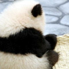 Полина Катина, 16.12.1991, Москва