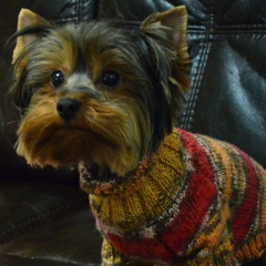 Роман Кохан, 01.07.1901, Киев