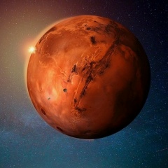 Андрей Мясников, Москва