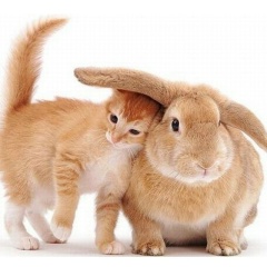 Николай Биенко, Москва