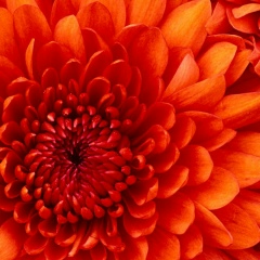 Замиля Минеханова, 16.05.1978