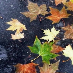 Владимир Михайлиди, 02.09.1989, Москва