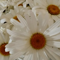 Екатерина Клименко, 28.05, Москва