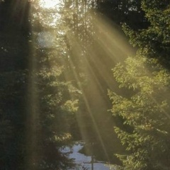 Серафим Нововер, 15.03