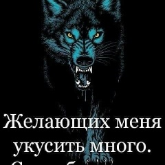 Сергей Волк, 05.04, Москва