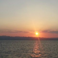 Егор Горынович, 13.08, Málaga