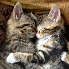 Александр Борисов, 09.09, Москва