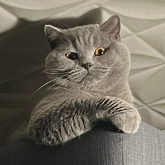 Никита Кулешов, 09.05, Москва