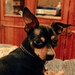 Юлия Киселева, 05.12, Рыбинск