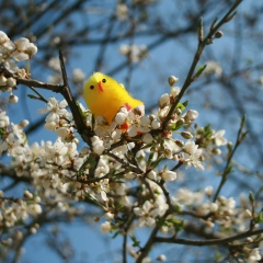 Наталья Федина, 13.12, Одесса