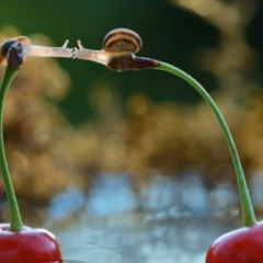 Олька Мовчан, 05.04.1989, Киев