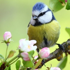Ольга Киреева, 28.02, Санкт-Петербург