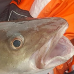 Димка Бант, 06.11, Санкт-Петербург