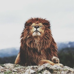 Зуфар Юнусов, 14.08, Караганда