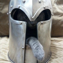 Юрец Р, 31.07, Таганрог