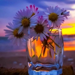 Indira Bishbaeva, 11.02, Алматы