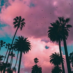 Женя Женя, 13.01