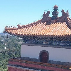 Александр Куртенко, 03.03