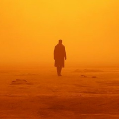 Виталий Ким