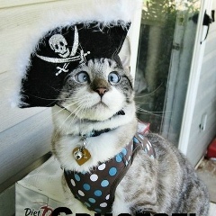 Василий Котов, 28.09.1994, Санкт-Петербург