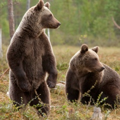 Yura Volkov, 03.03.1983, Днепр (Днепропетровск)