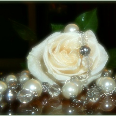 Жанар Ханиева, 19.12.1974, Кызылорда