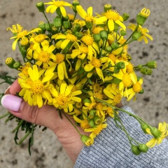 Лауура Нурбаева, 11.08.1987, Атырау