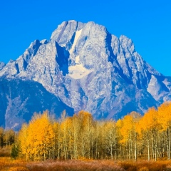 Дмитрий Андреевич