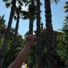 Александр М