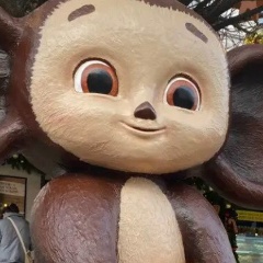 Павел Сафин, Челябинск