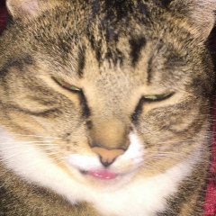 Анютка Власова, 19.04.1984, Москва