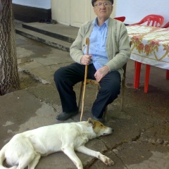 Чингиз Гасанов