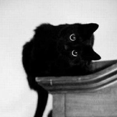 Ольга Каленчукова, Минск