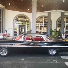 Василий Гребенар, 21.05.1983, Санкт-Петербург