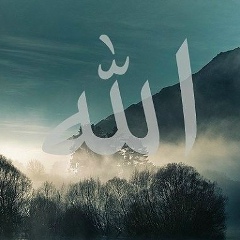 Бадик Мусильман, Грозный