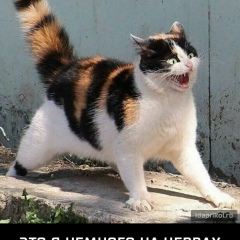 Анна Молчанова, 28.10, Саранск