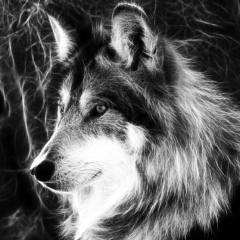 Роман Прохоренко, 22.12.1982, Севастополь