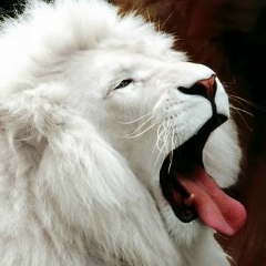 Бауыржан Есенбаев, 03.01, Алматы