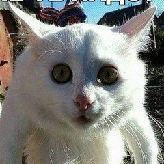 Dimka Dolbysh, 07.06.1990, Белгород