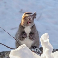 Марина Бабская, 01.01, Сургут