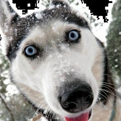 Юлия Горбачева, 31.05.1984, Москва