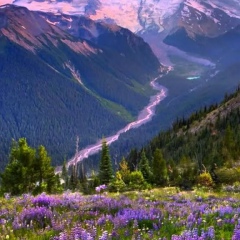 Наталия К, 21.11.1986, Красково