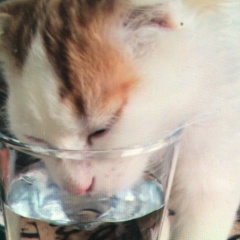 Татьяна Свирчук, 25.02, Санкт-Петербург