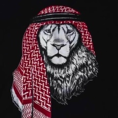 Ibragim Ahmathanov, 20.11.1994, Москва