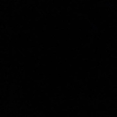 Гуля Сейт, Шымкент