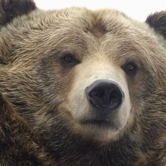 Сергей Кириллов, 25.02, Санкт-Петербург