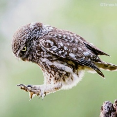 Светлана Александрова, 29.04, Новосибирск