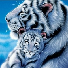 Жанна Ахметова, 26.08, Темиртау