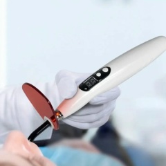 Лавка Подолога, 10.12, Астрахань