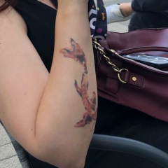 Ольга Айрапетян, Краснодар